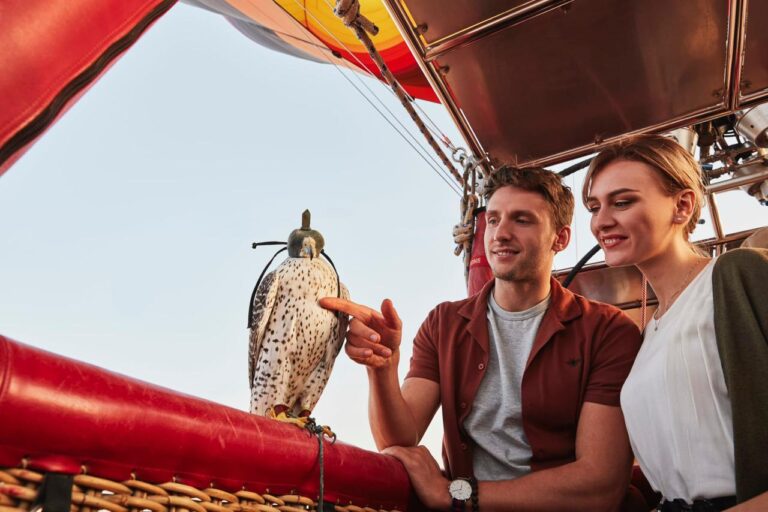 WhatsApp Image 2025-11-14 at 11.13